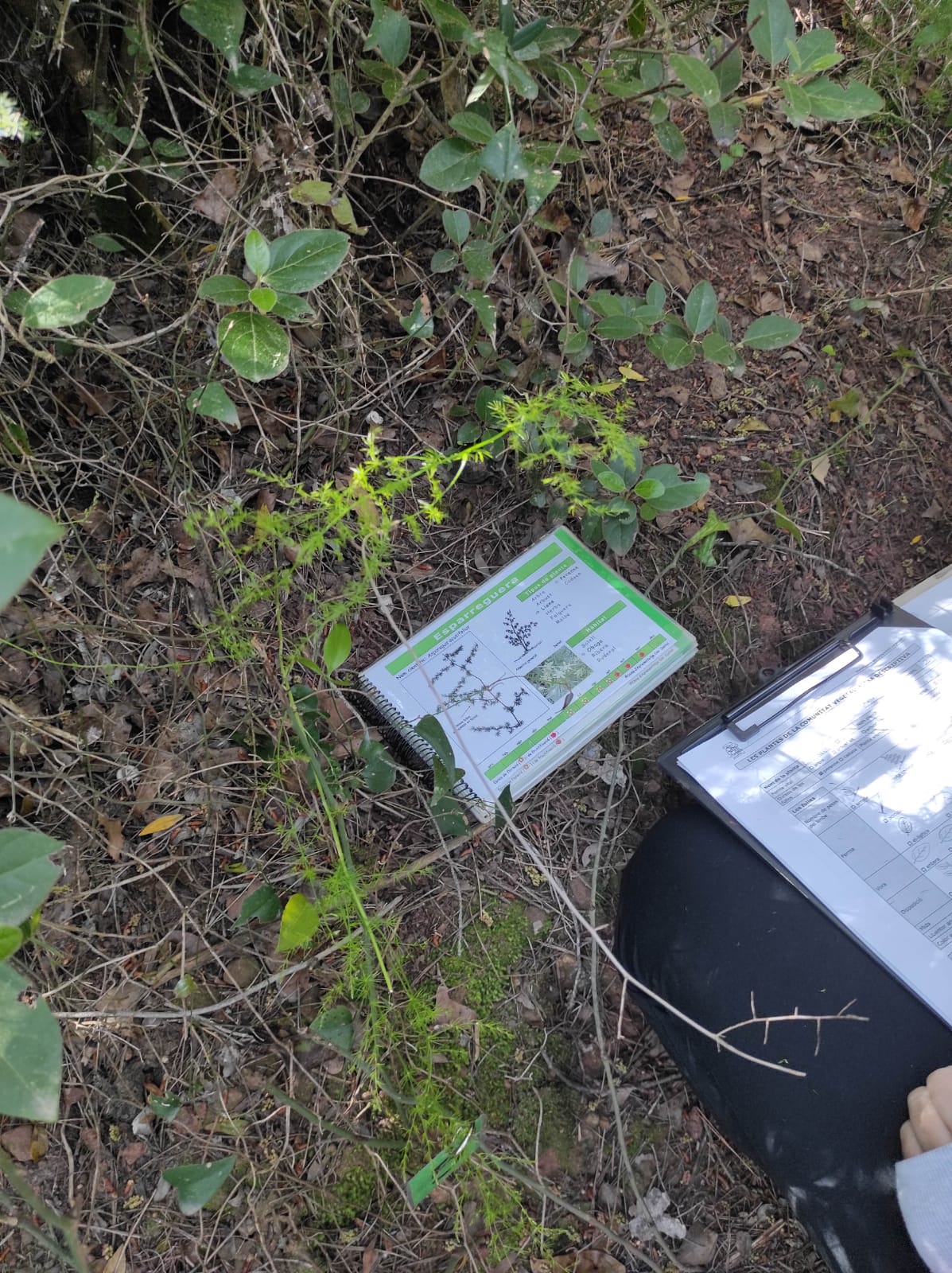 WhatsApp Image 2026-04-23 at 09.55.52 (1)