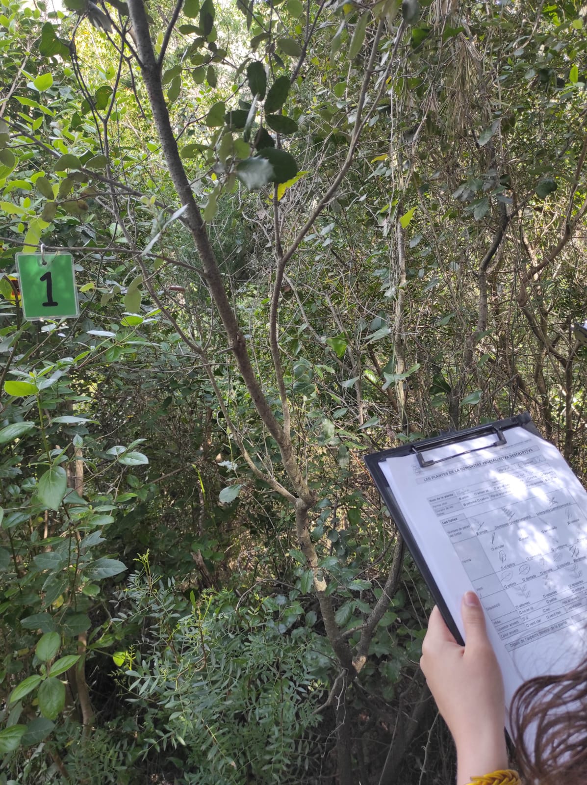 WhatsApp Image 2026-04-23 at 09.55.52