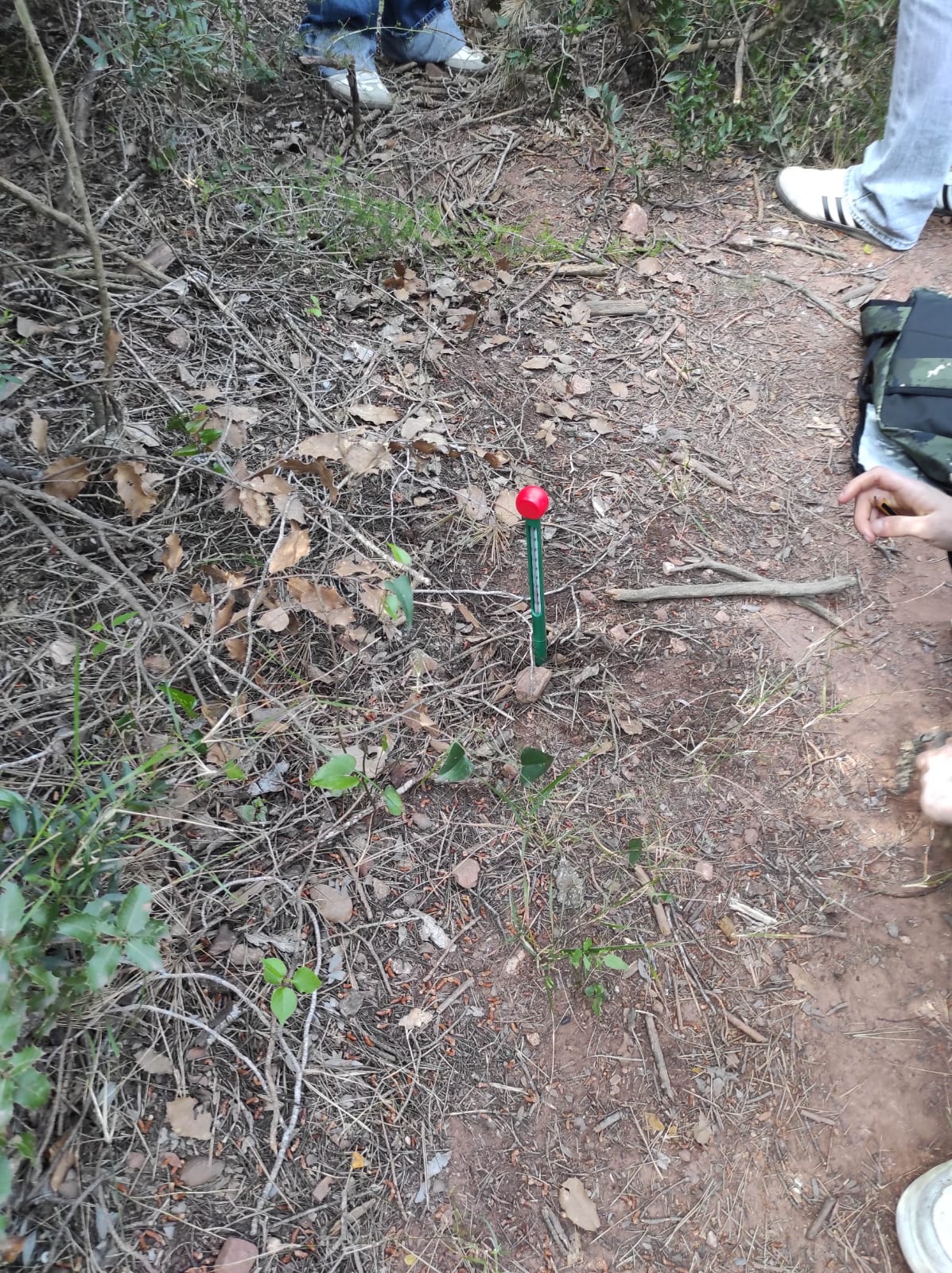 WhatsApp Image 2026-04-23 at 09.55.53 (1)