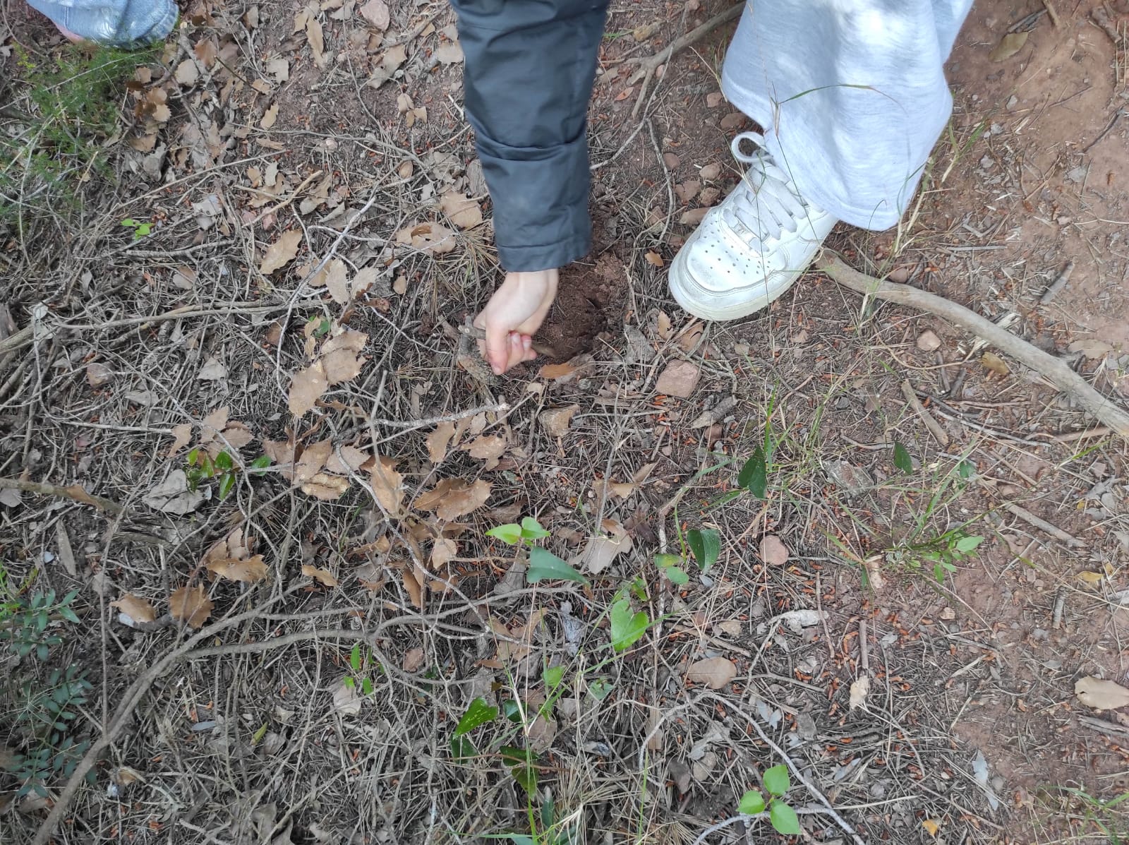 WhatsApp Image 2026-04-23 at 09.55.53 (3)