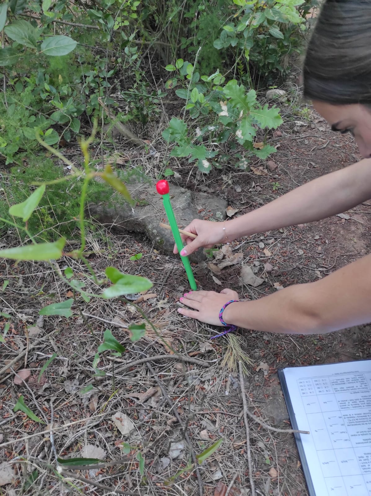 WhatsApp Image 2026-04-23 at 09.55.54 (1)