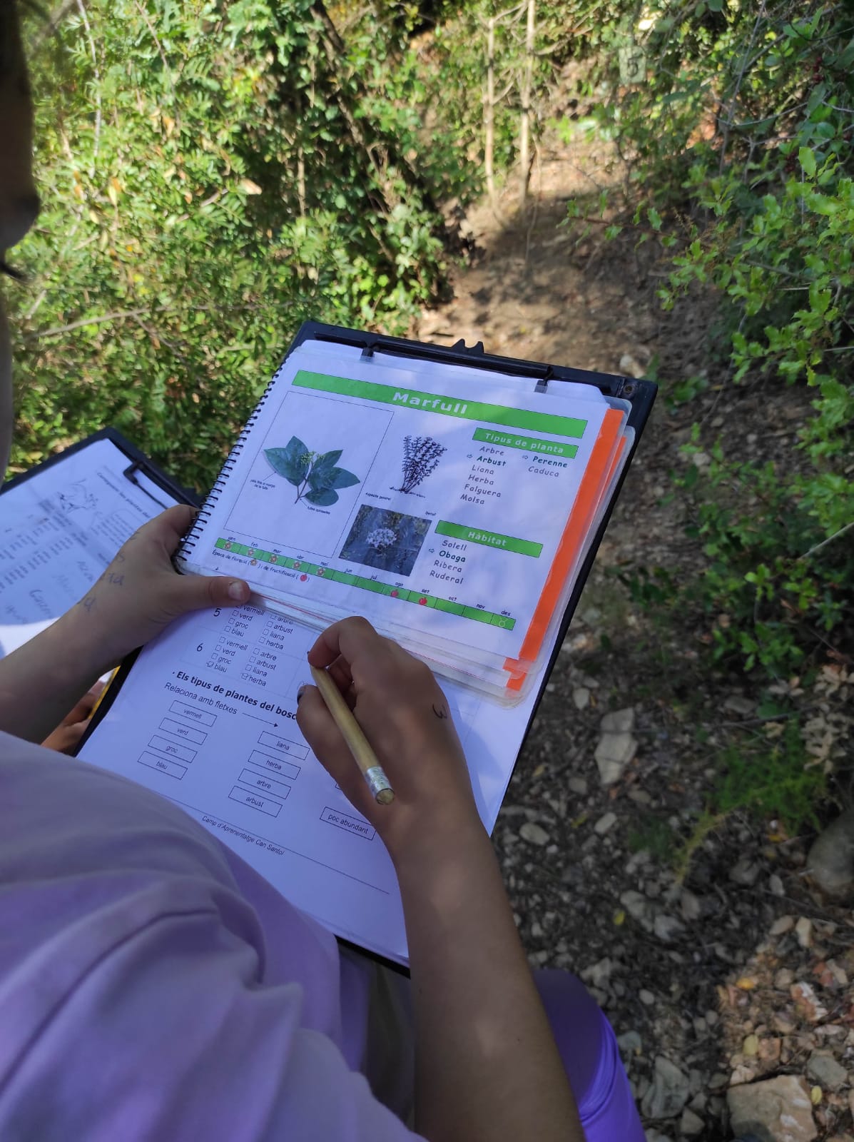 WhatsApp Image 2026-04-23 at 10.17.37