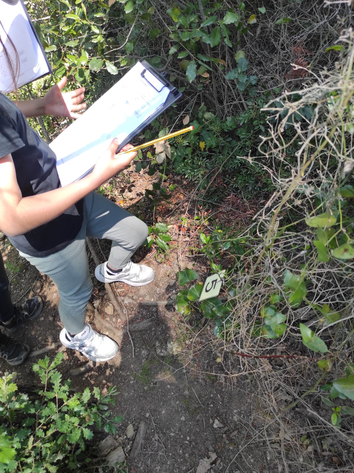 WhatsApp Image 2026-04-23 at 10.17.42 (2)