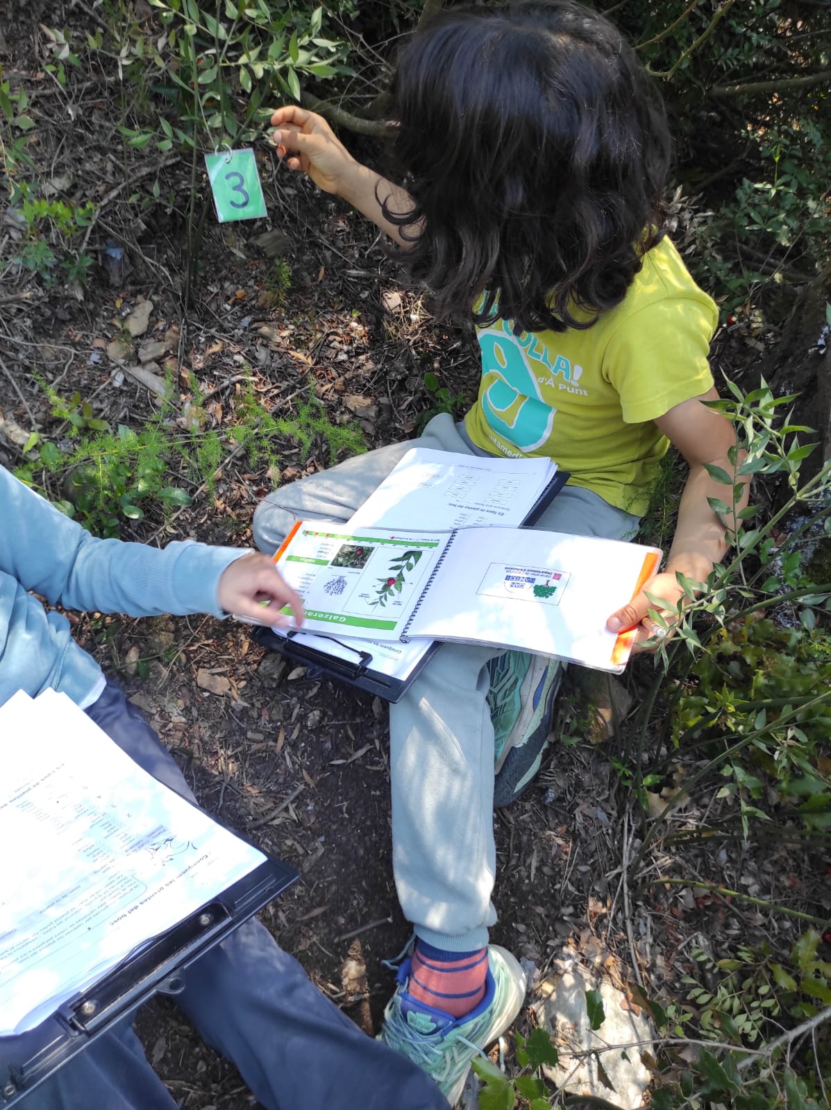 WhatsApp Image 2026-04-23 at 10.17.42 (3)