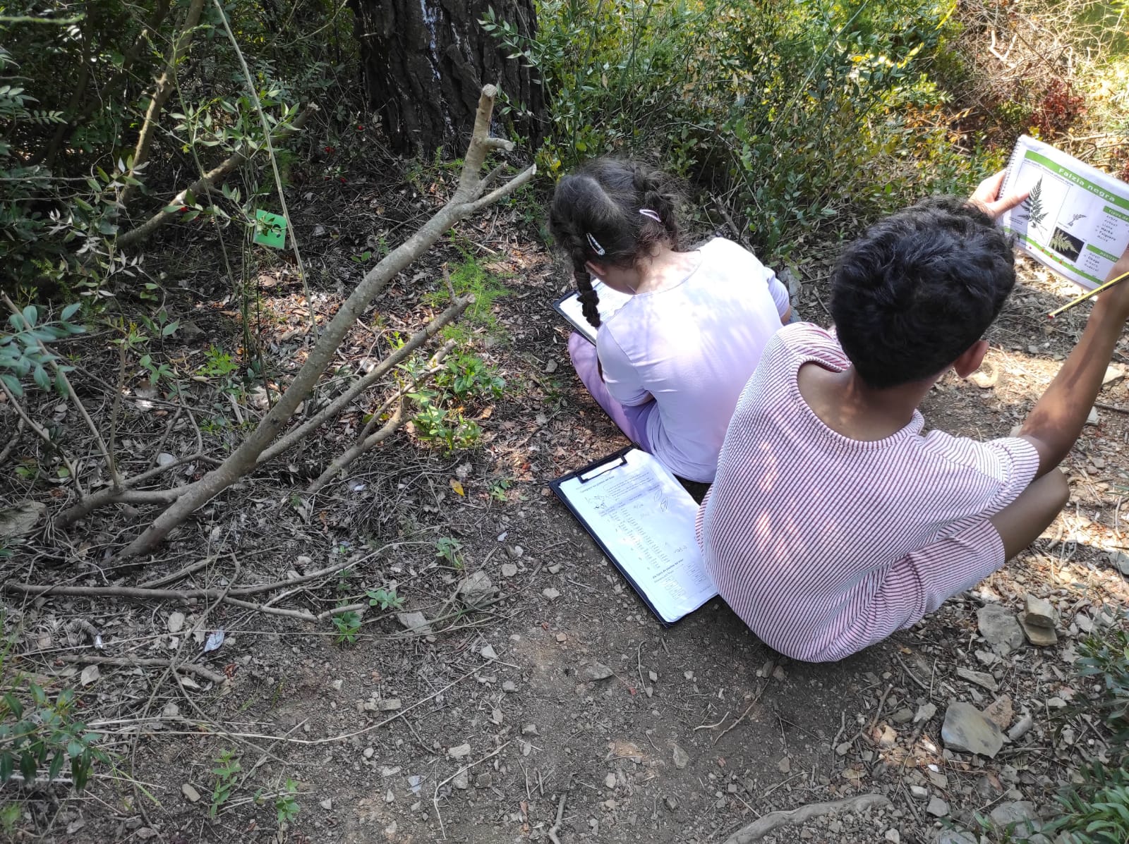 WhatsApp Image 2026-04-23 at 10.17.42