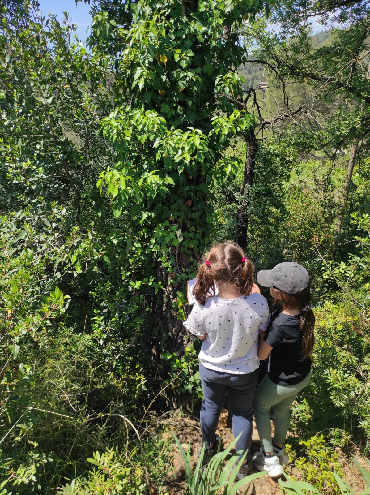 WhatsApp Image 2026-04-23 at 10.17.43 (1)