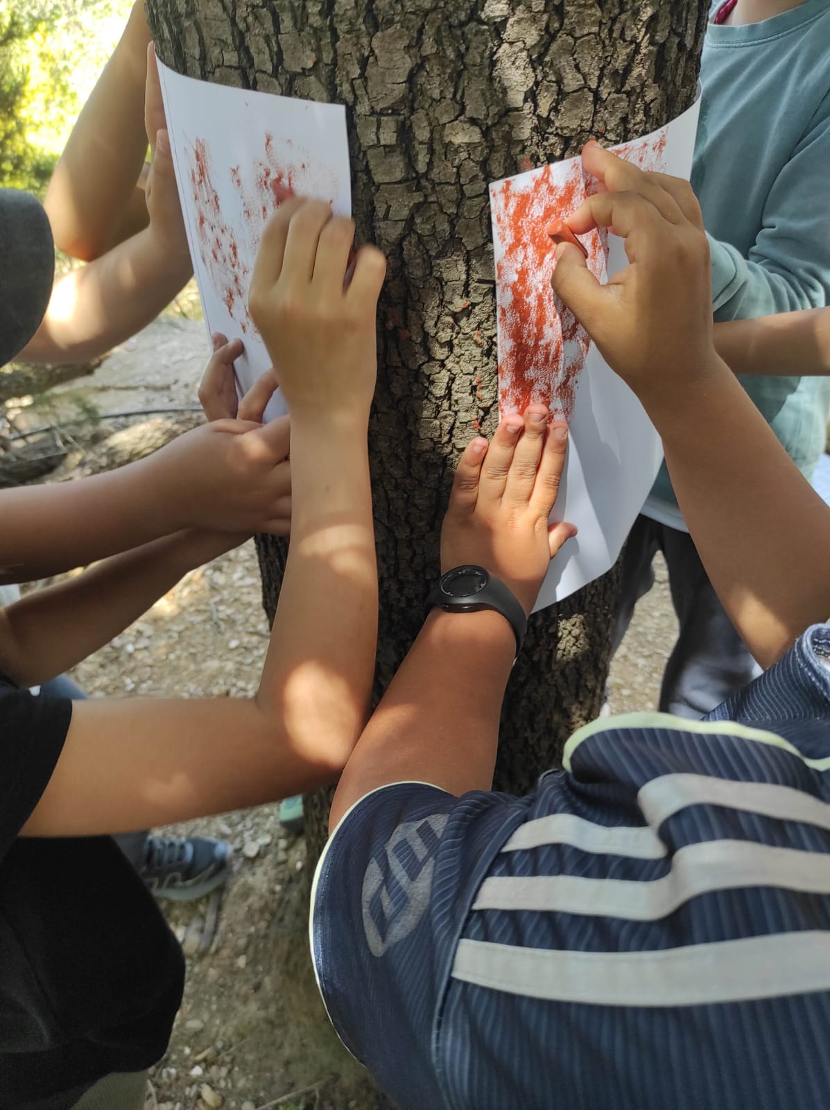 WhatsApp Image 2026-04-23 at 10.17.43 (2)