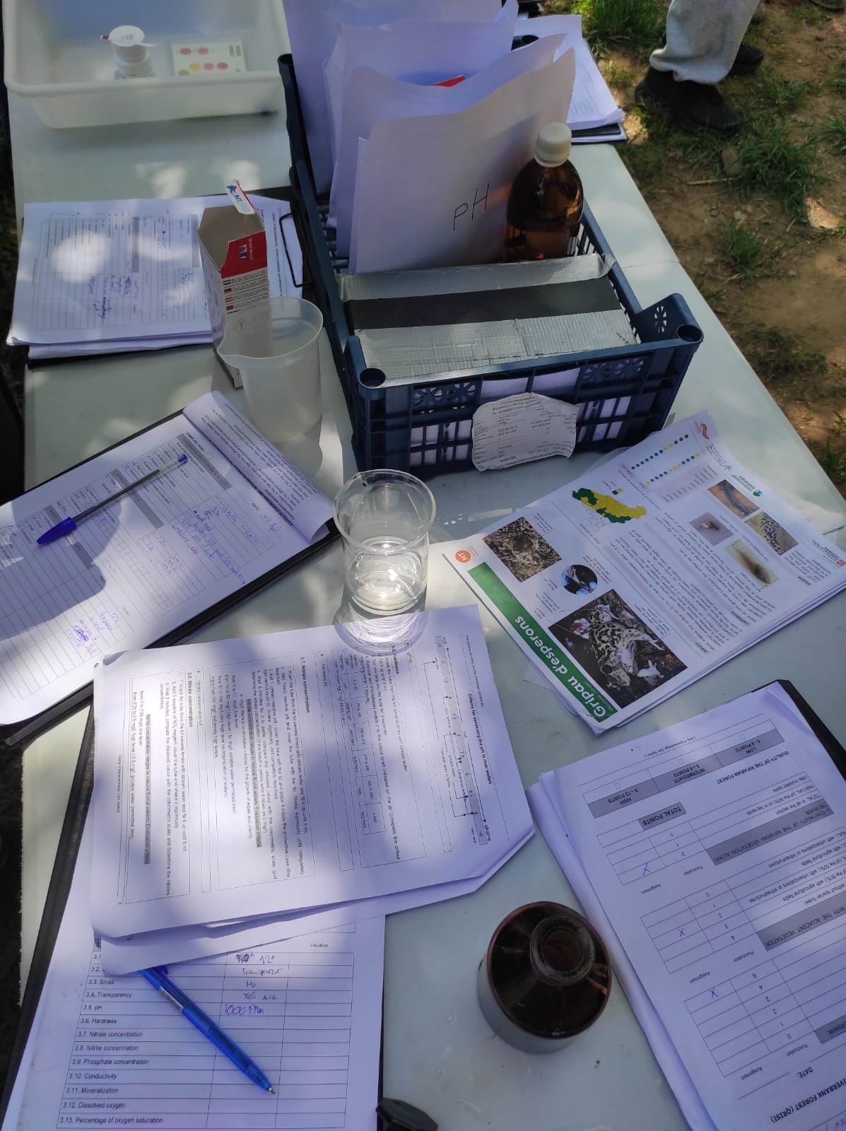 WhatsApp Image 2026-04-23 at 11.06.05