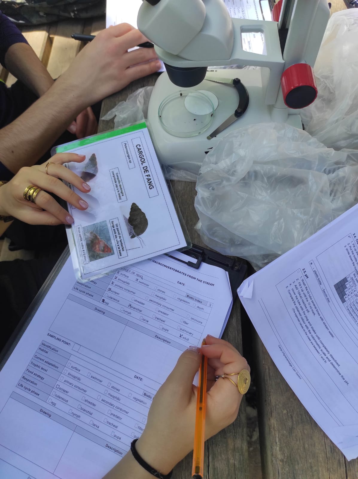 WhatsApp Image 2026-04-23 at 11.06.12 (1)