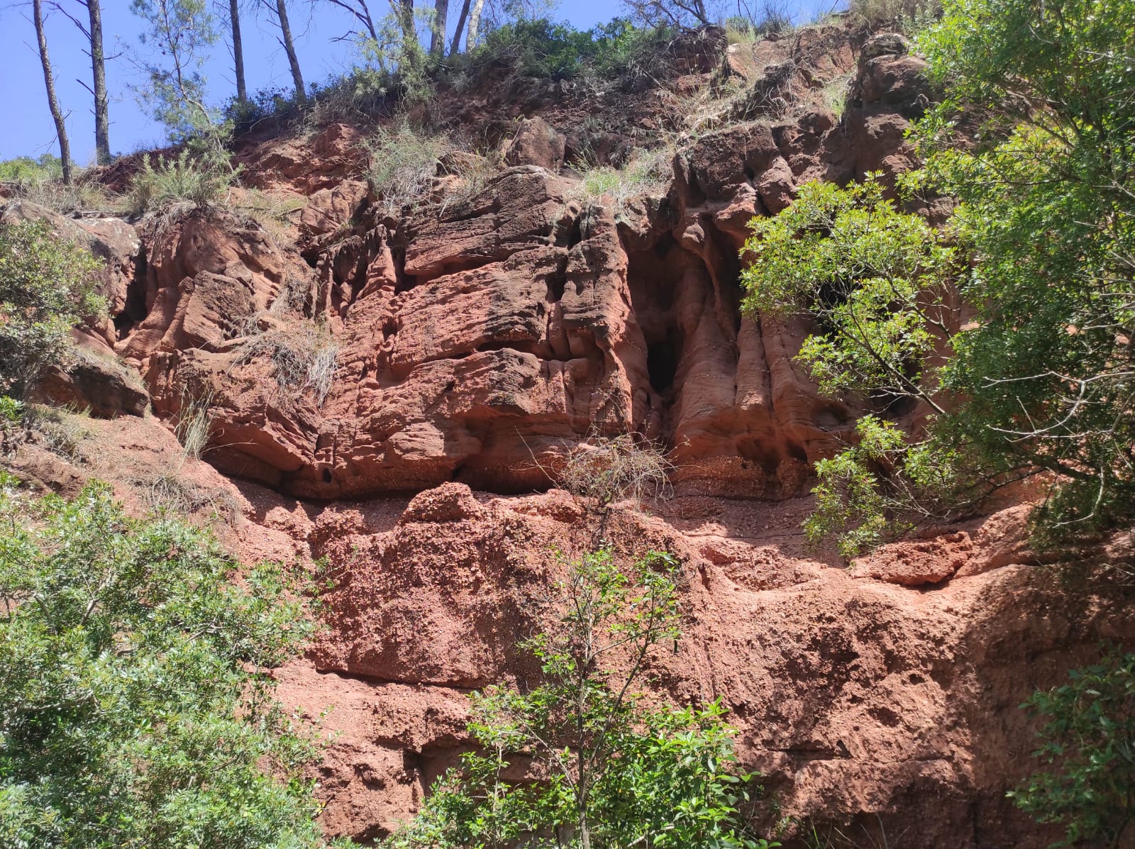 WhatsApp Image 2026-04-23 at 11.06.12 (2)