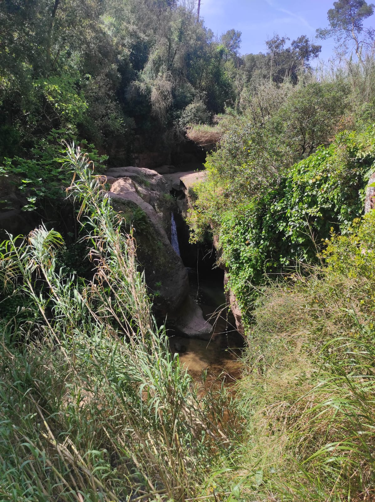 WhatsApp Image 2026-04-23 at 11.06.12 (3)