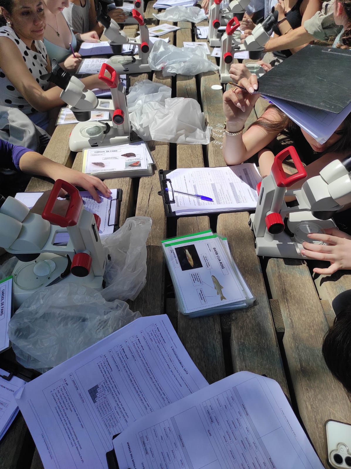 WhatsApp Image 2026-04-23 at 11.06.12