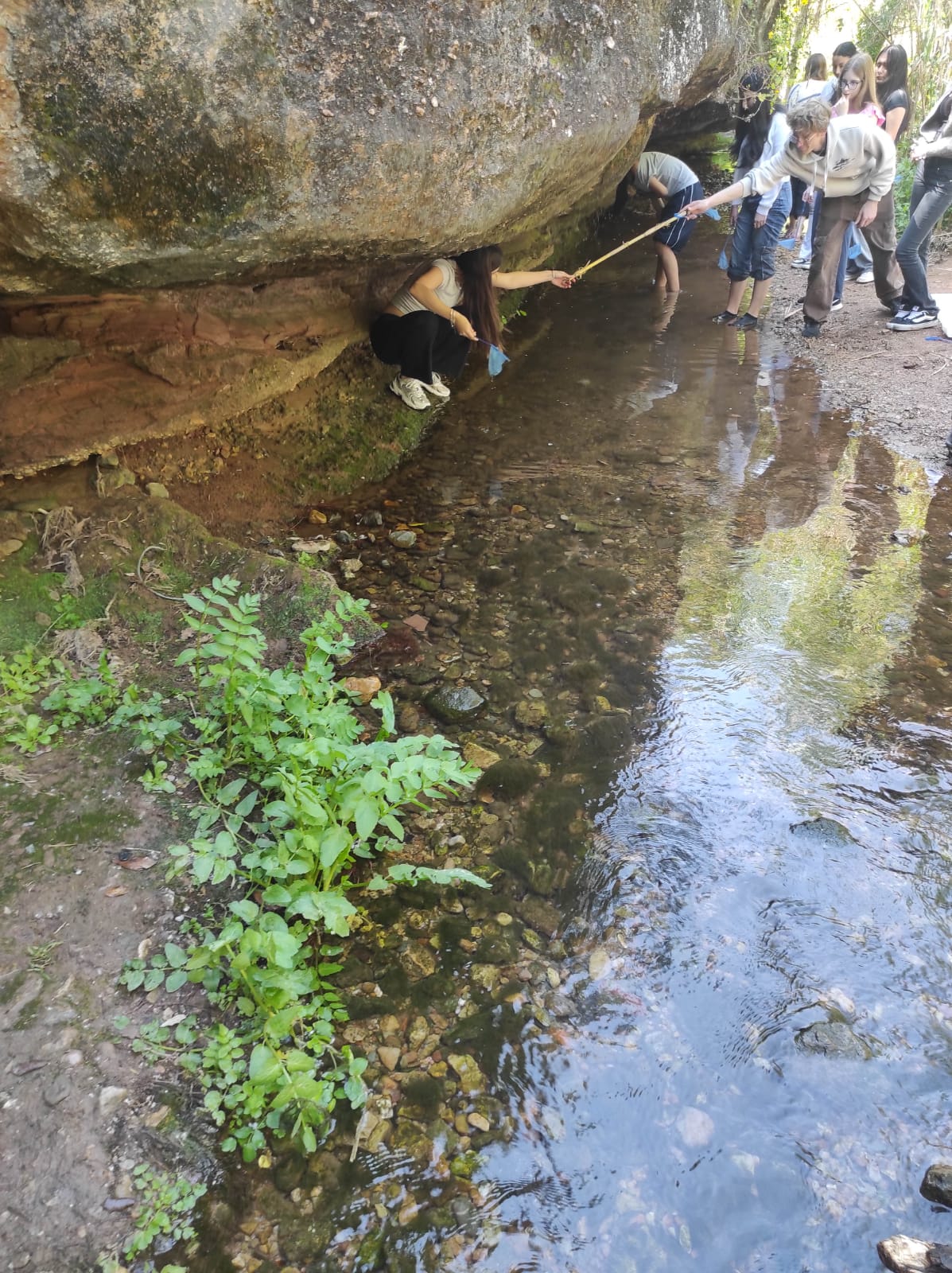 WhatsApp Image 2026-04-23 at 11.06.13 (1)