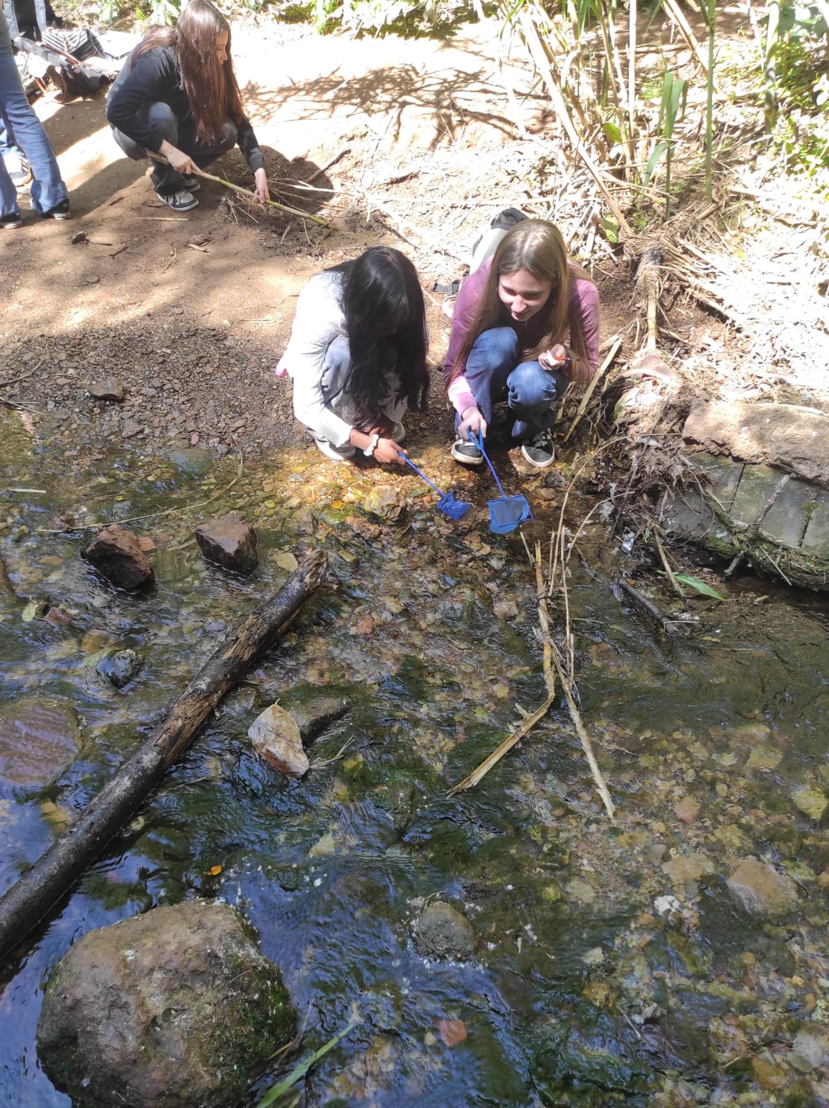 WhatsApp Image 2026-04-23 at 11.06.13 (2)