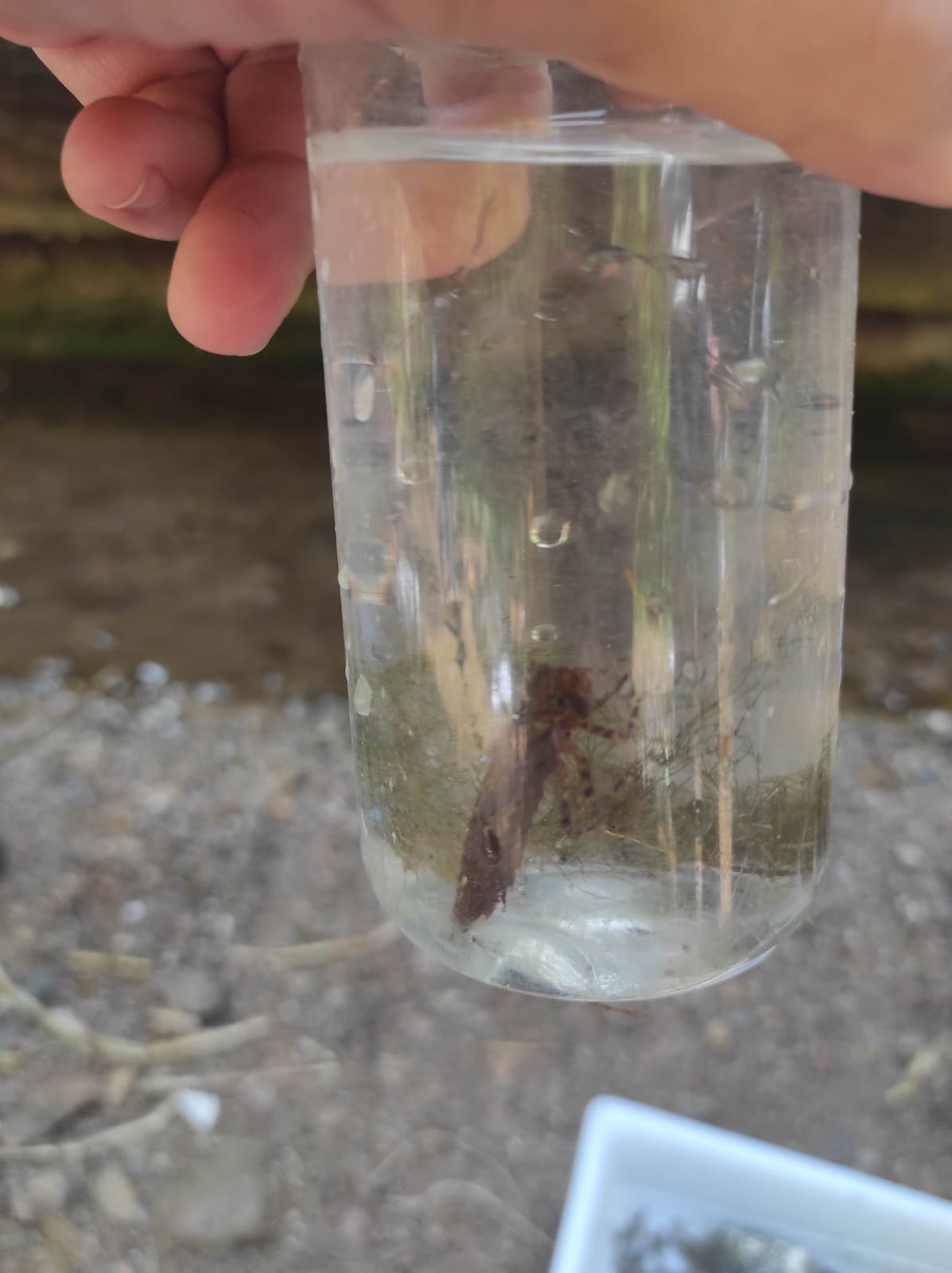 WhatsApp Image 2026-04-23 at 11.06.13 (3)