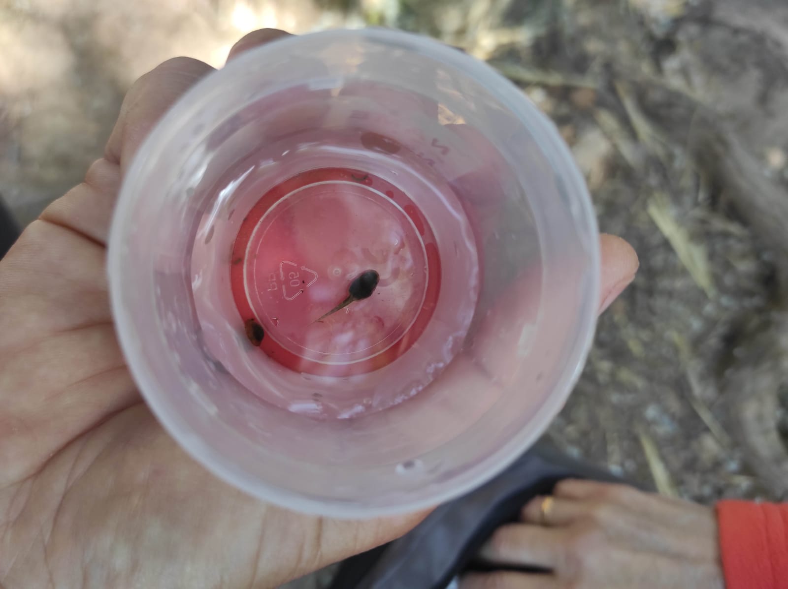 WhatsApp Image 2026-04-23 at 11.06.13