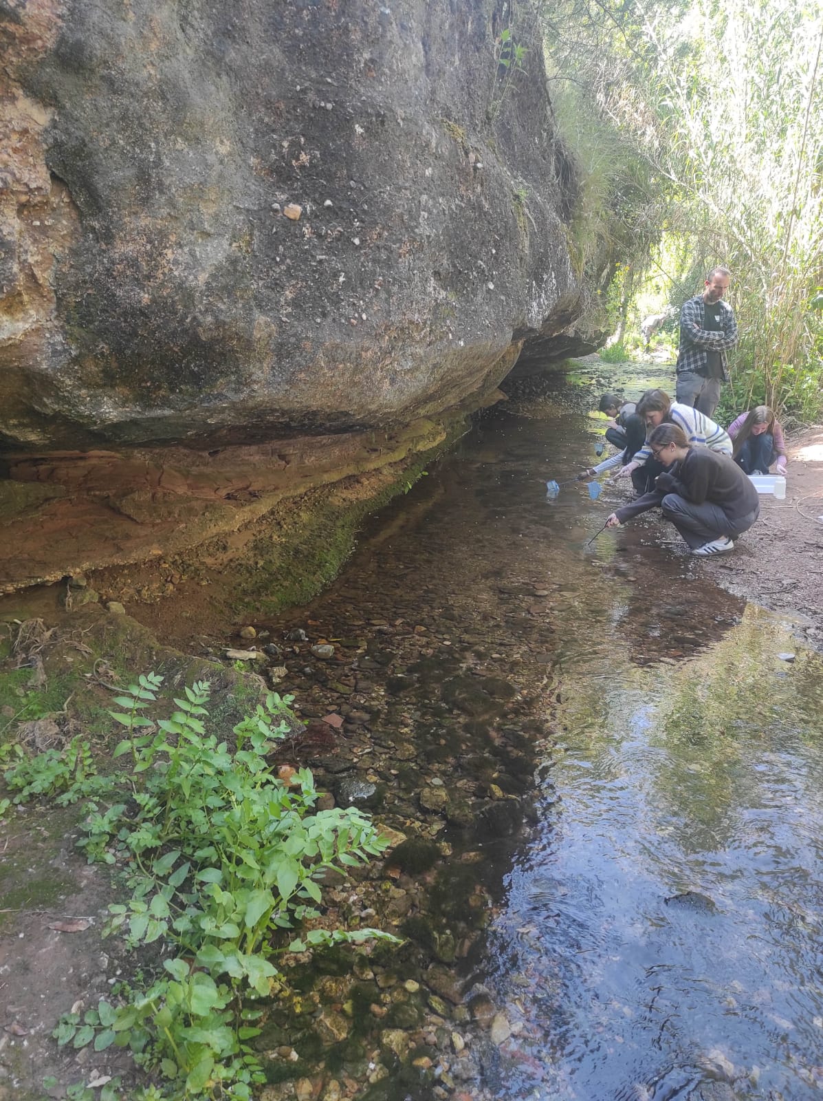 WhatsApp Image 2026-04-23 at 11.06.14 (2)