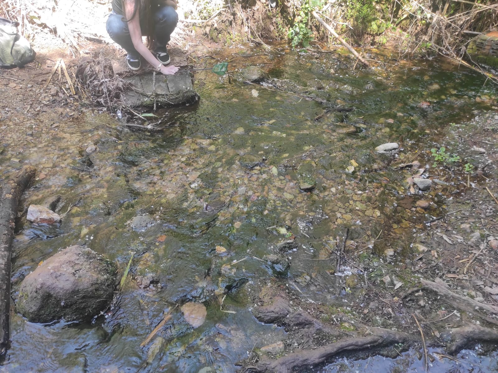 WhatsApp Image 2026-04-23 at 11.06.14 (3)