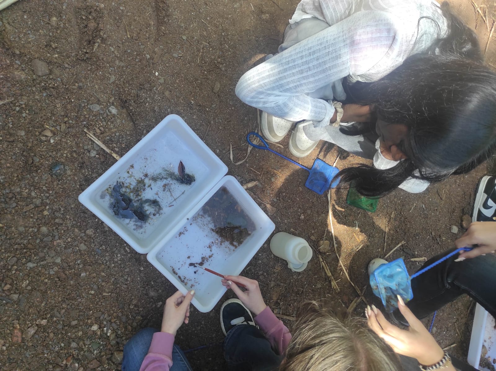 WhatsApp Image 2026-04-23 at 11.06.14