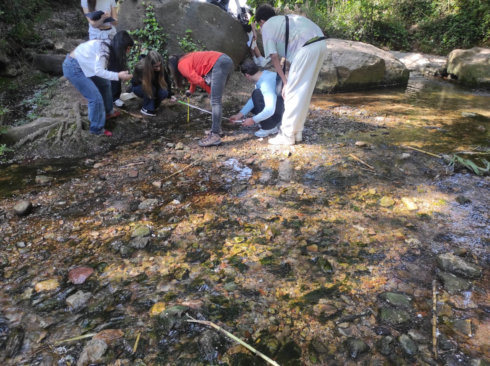 WhatsApp Image 2026-04-23 at 11.06.15 (1)