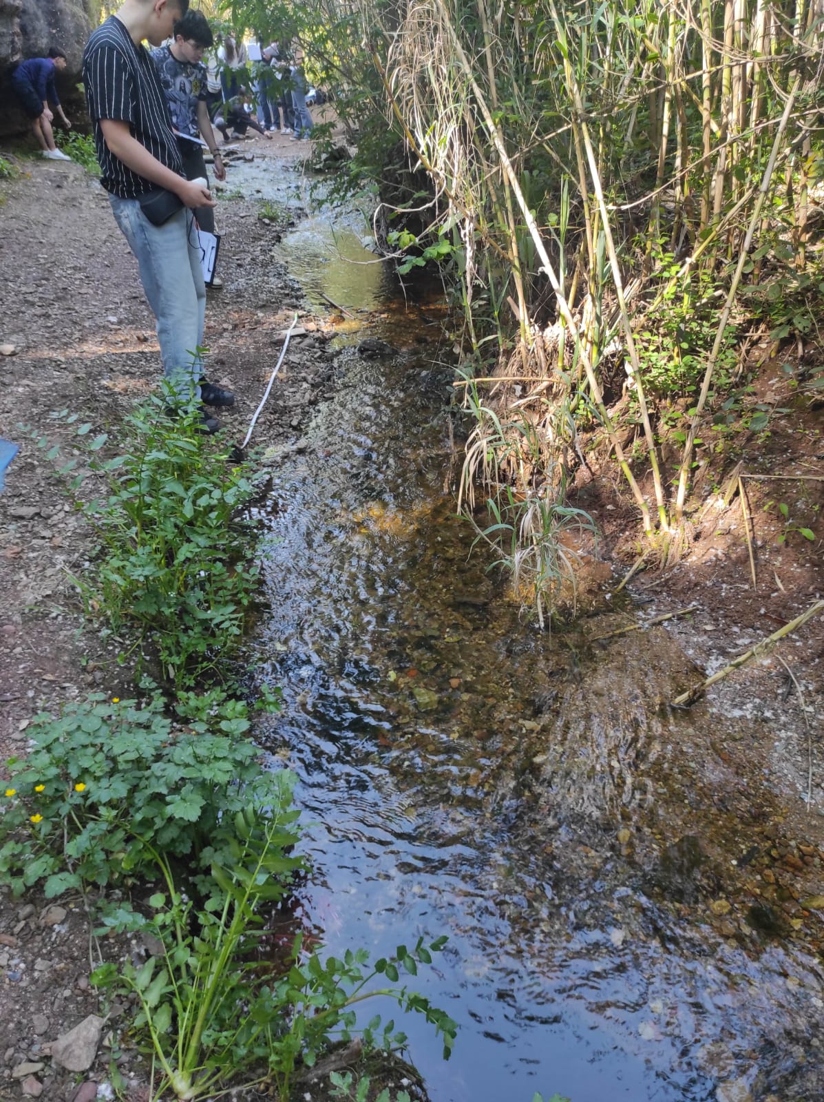 WhatsApp Image 2026-04-23 at 11.06.15 (2)