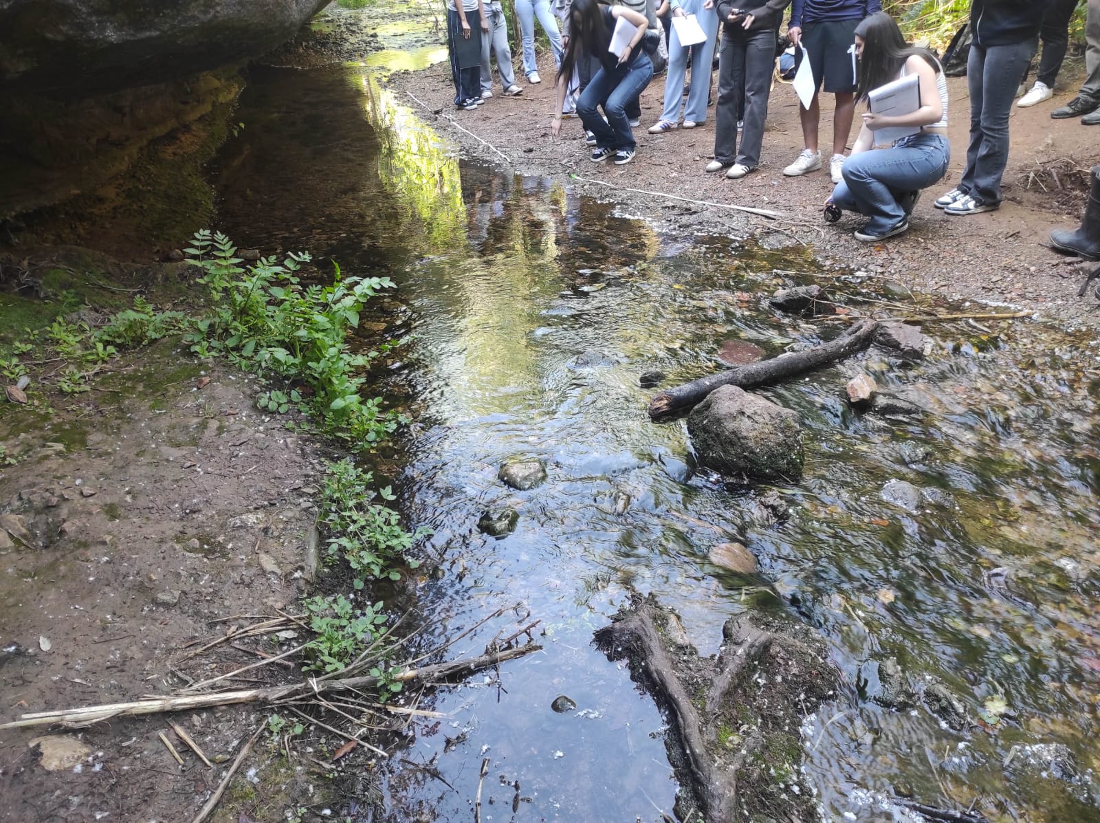 WhatsApp Image 2026-04-23 at 11.06.15 (3)