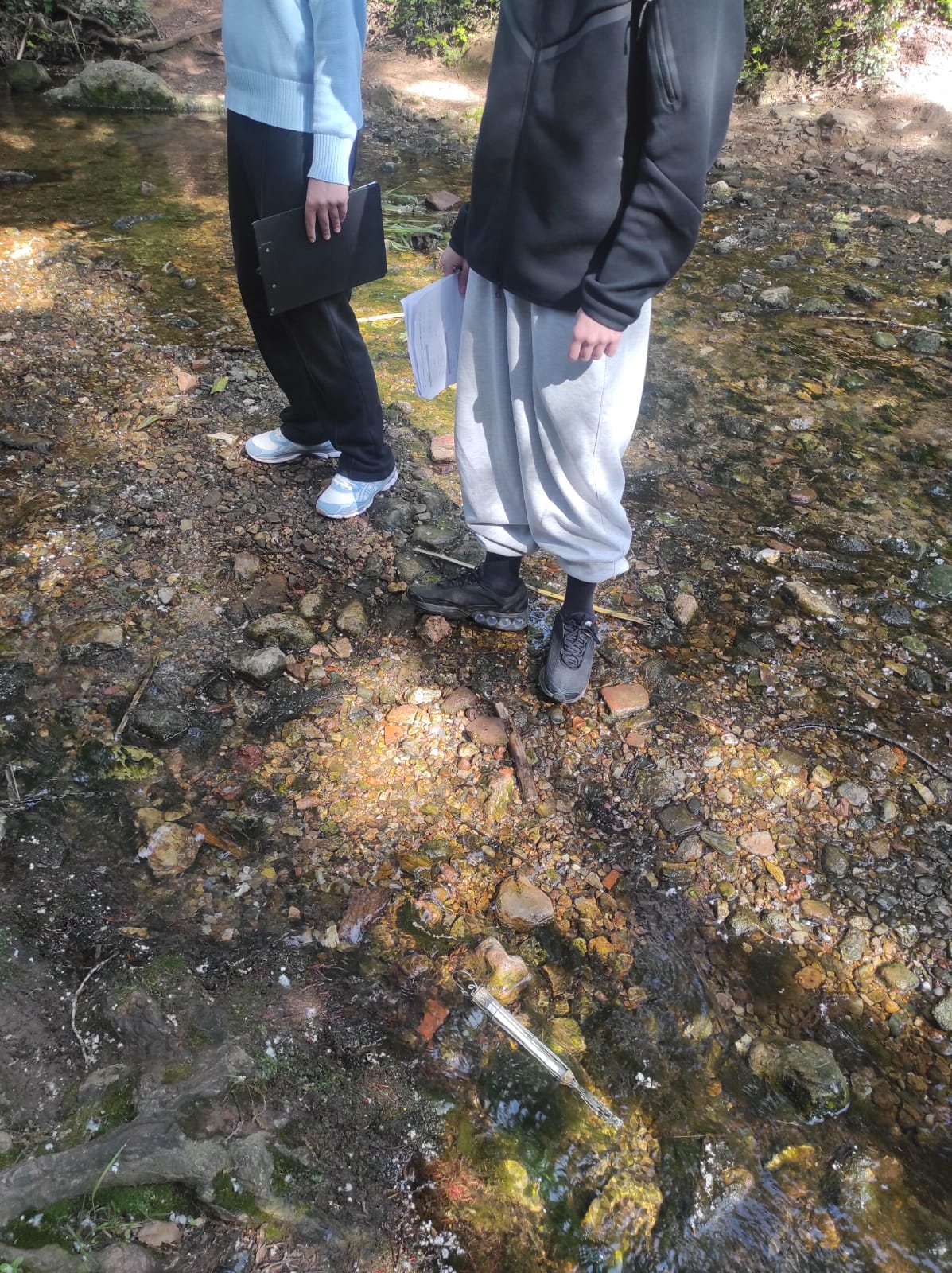 WhatsApp Image 2026-04-23 at 11.06.15 (4)