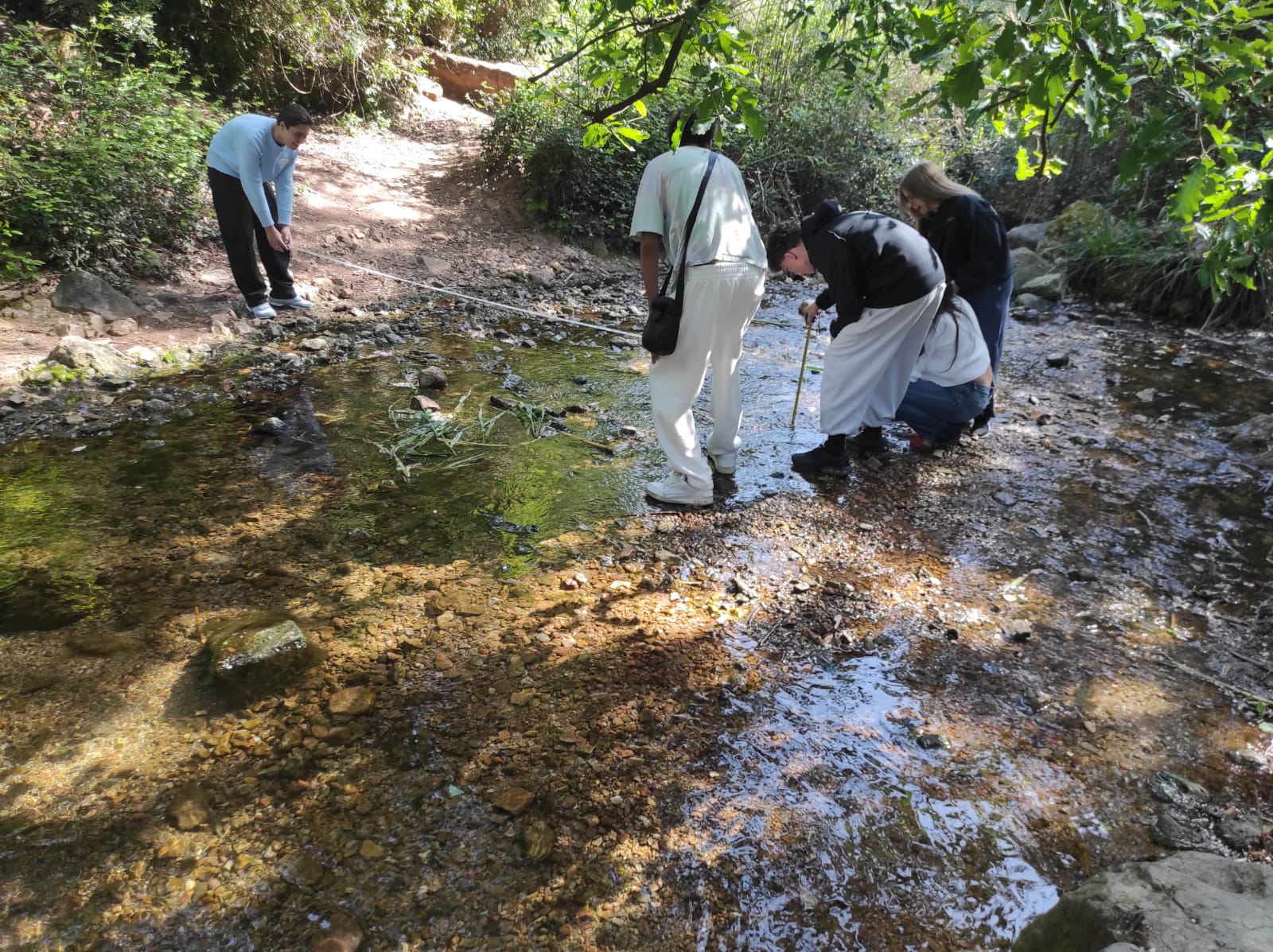 WhatsApp Image 2026-04-23 at 11.06.15