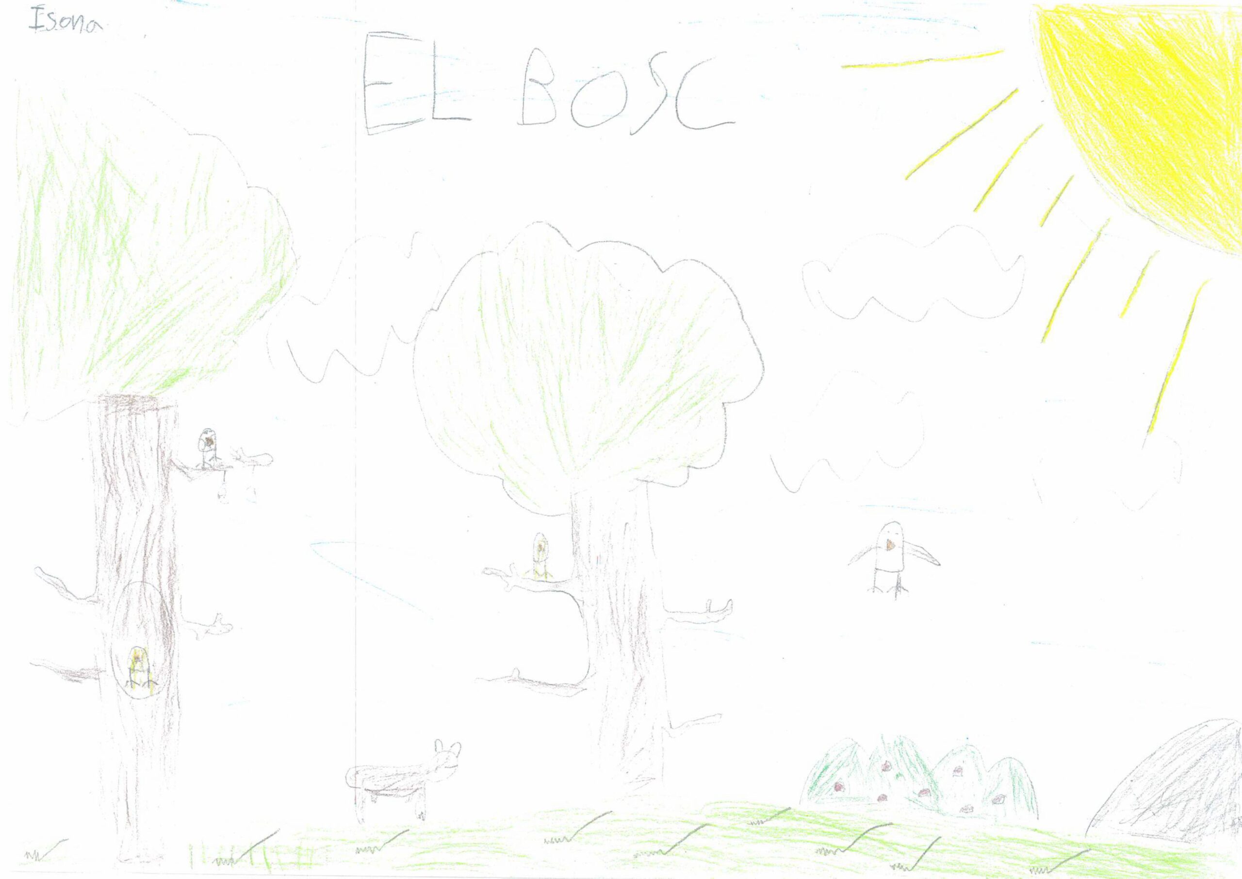 DIbuixos 3r A-images-17