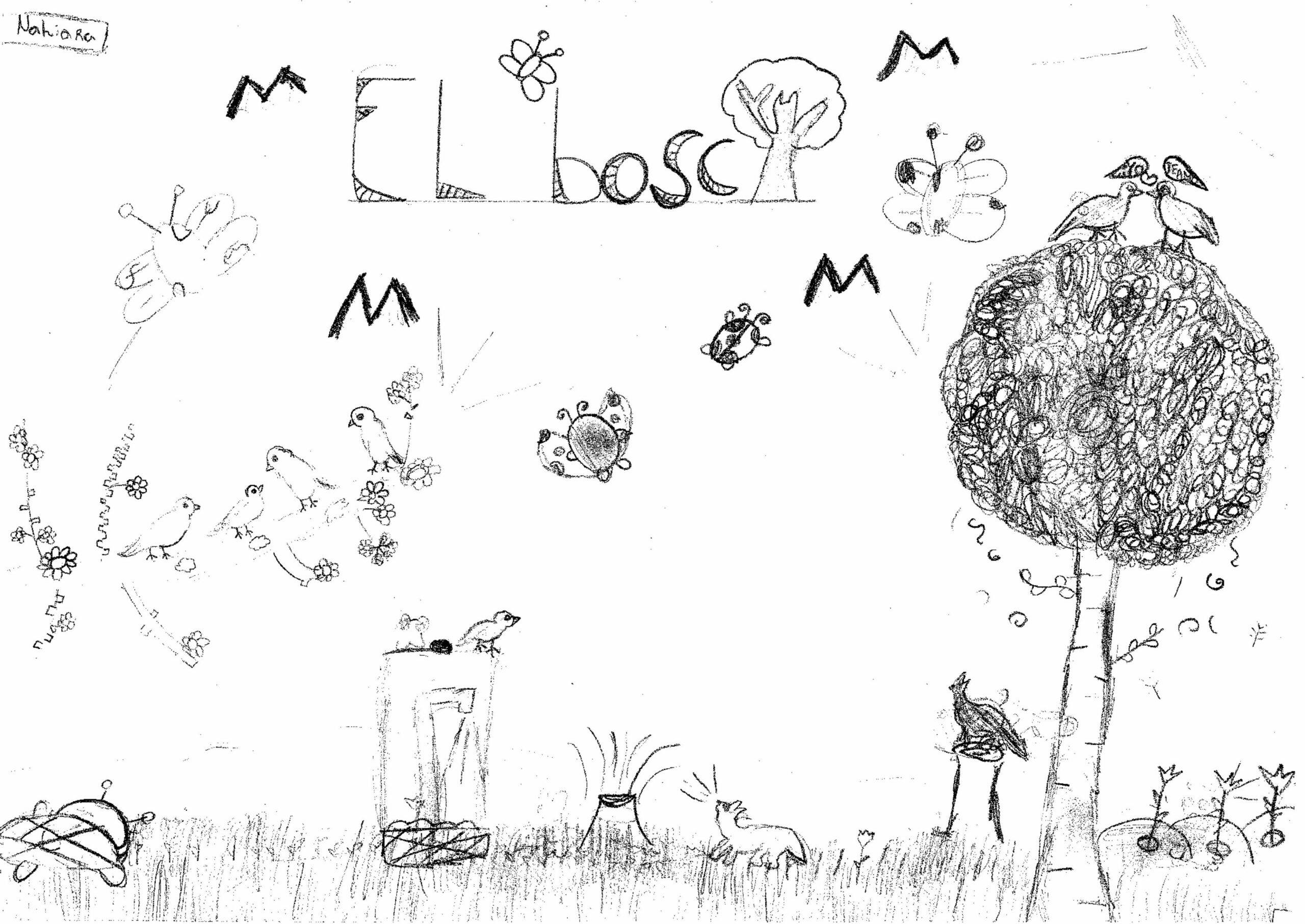 DIbuixos 3r A-images-22