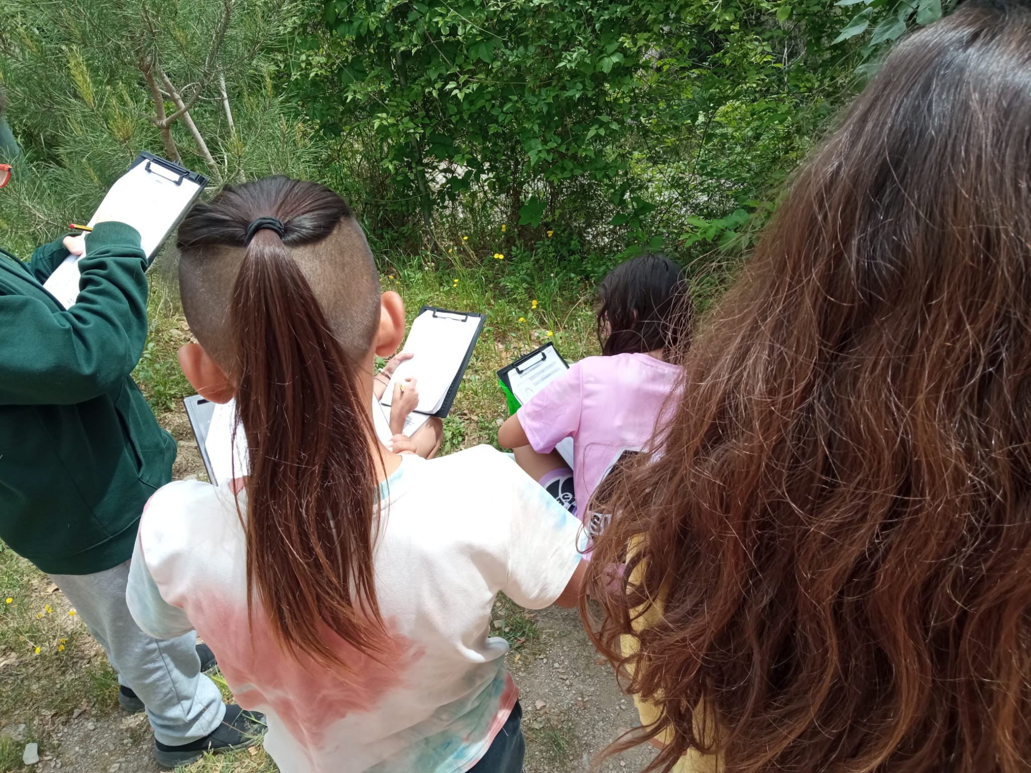 WhatsApp Image 2026-05-08 at 14.49.53 (1)