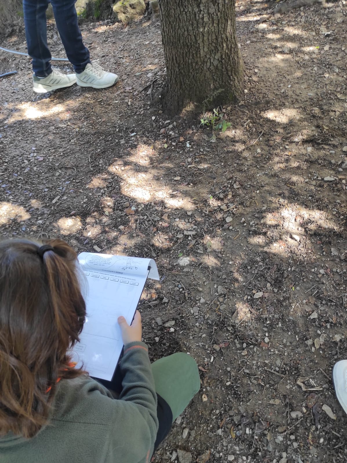 WhatsApp Image 2026-05-13 at 14.27.02 (4)