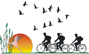 Camp d'aprenentatge del delta de l'Ebre