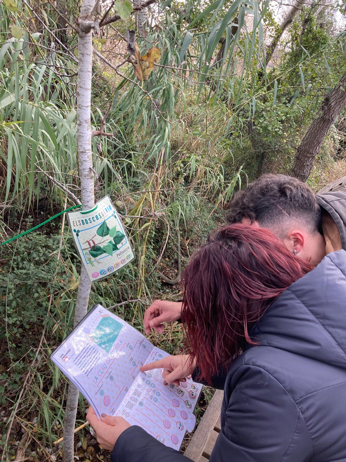 WhatsApp Image 2024-12-09 at 11.01.55