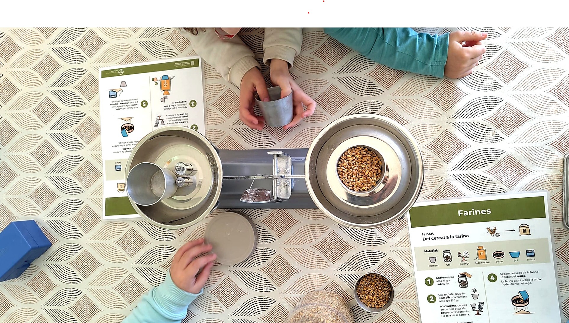 farines_corregida (retallada)