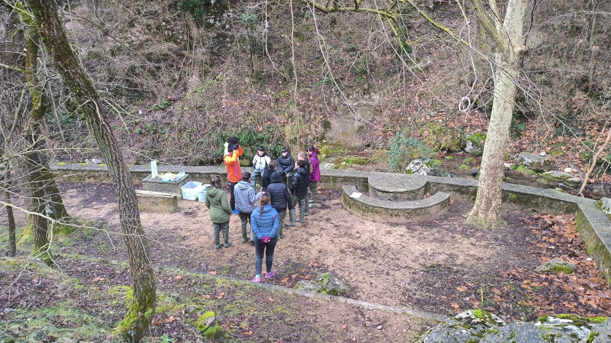 56050053-43ae-4087-b4f8-87ff3d2368ab