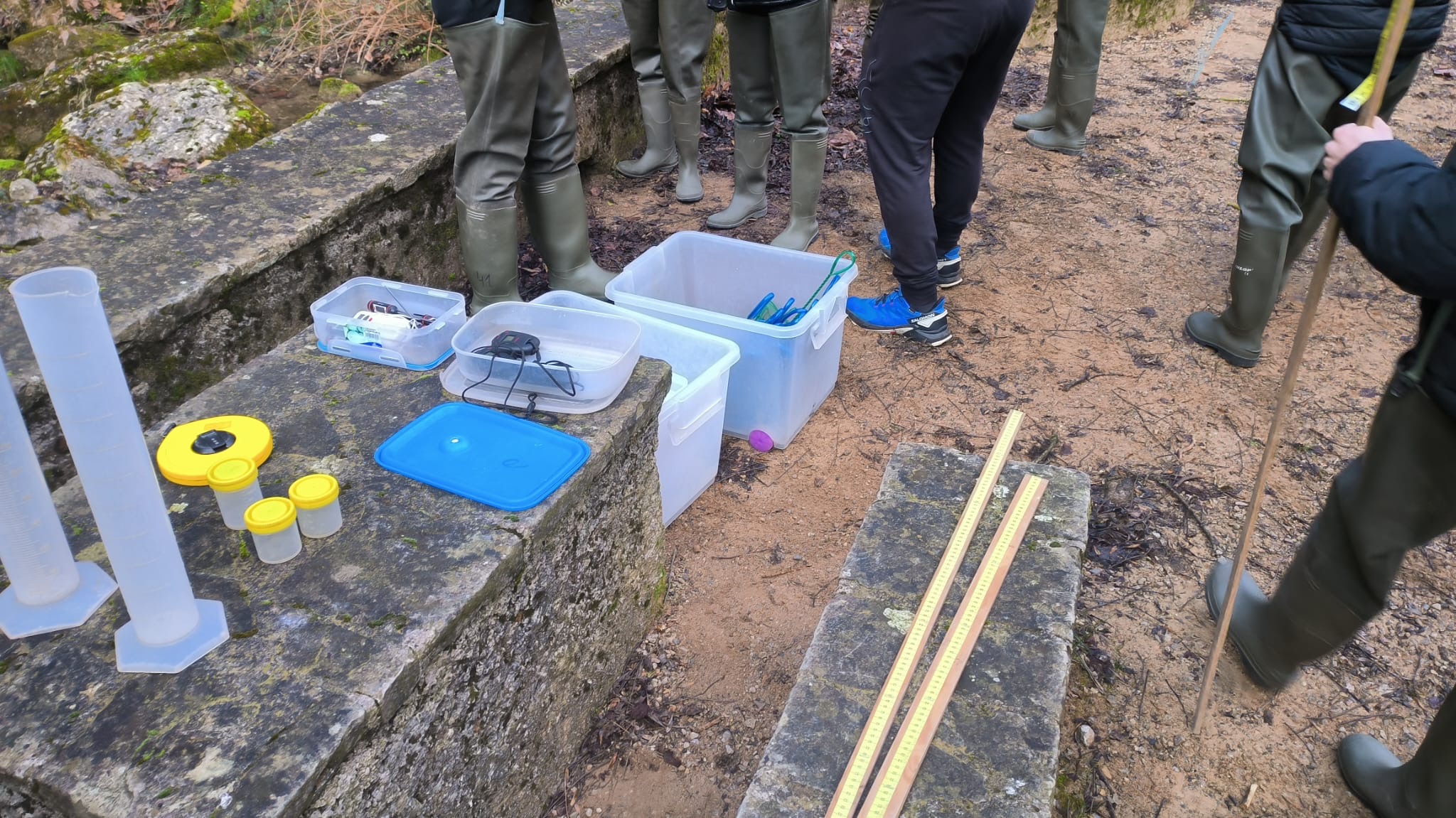 73639a3a-dd60-4022-a9b9-9229d3500663