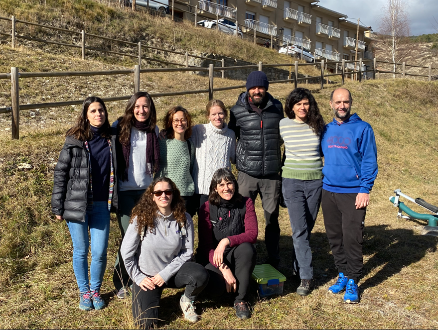 Captura de pantalla 2025-01-29 124247