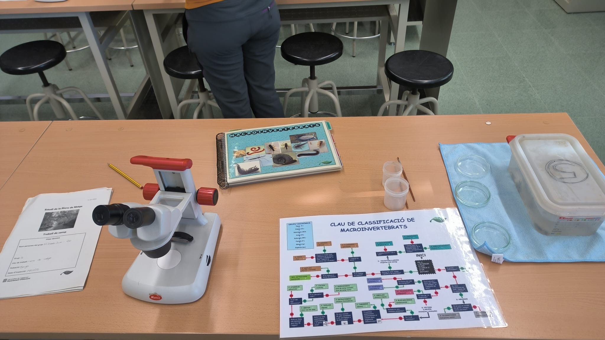 e3b8e37d-16e6-4308-8127-255d2082b58d