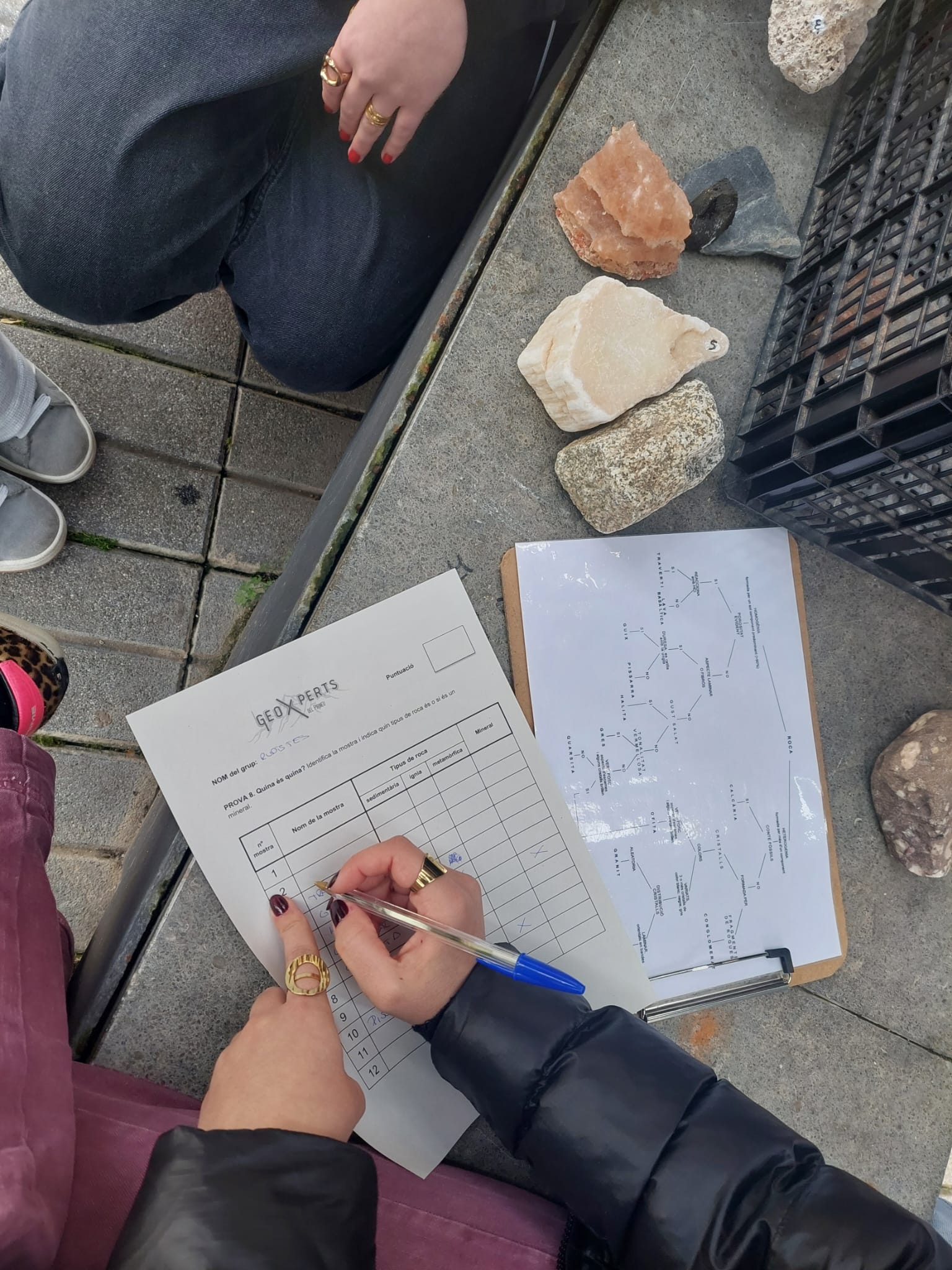 quina es quina 2 (6)