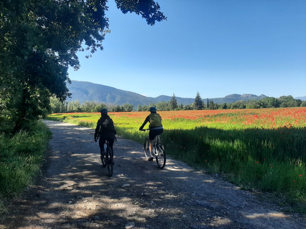 20250512_100749 - còpia