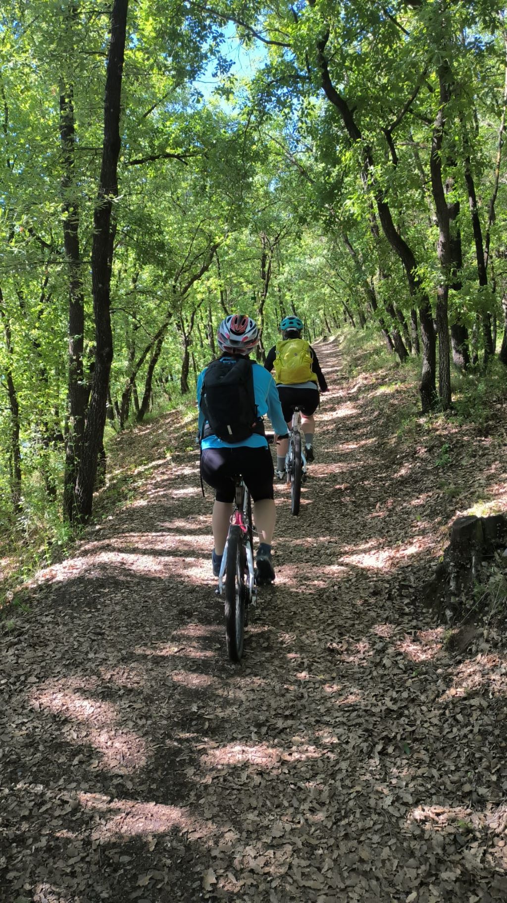 IMG-20250512-WA0021 - còpia