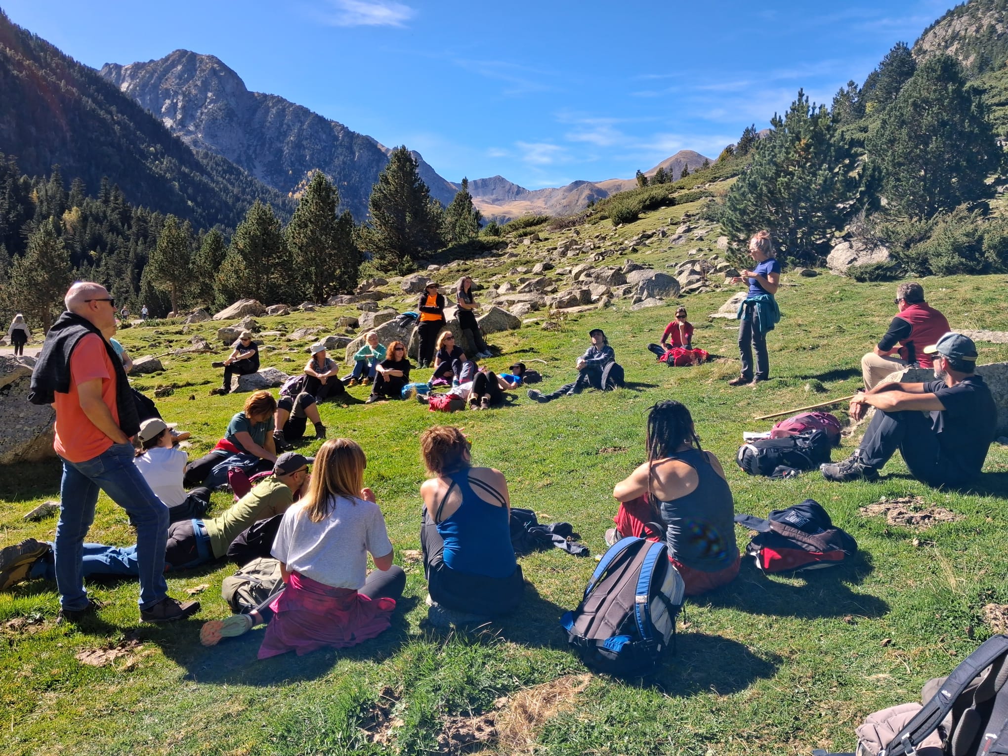 0a8b50f5-6142-4364-99fe-c1d03bda4ac7