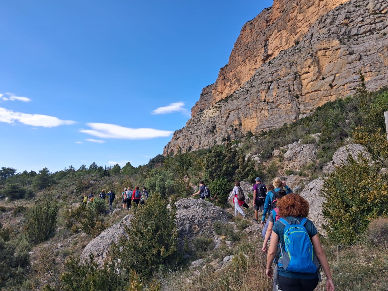 2a4d5d0d-3435-4cae-b7b1-16fb71a69b21