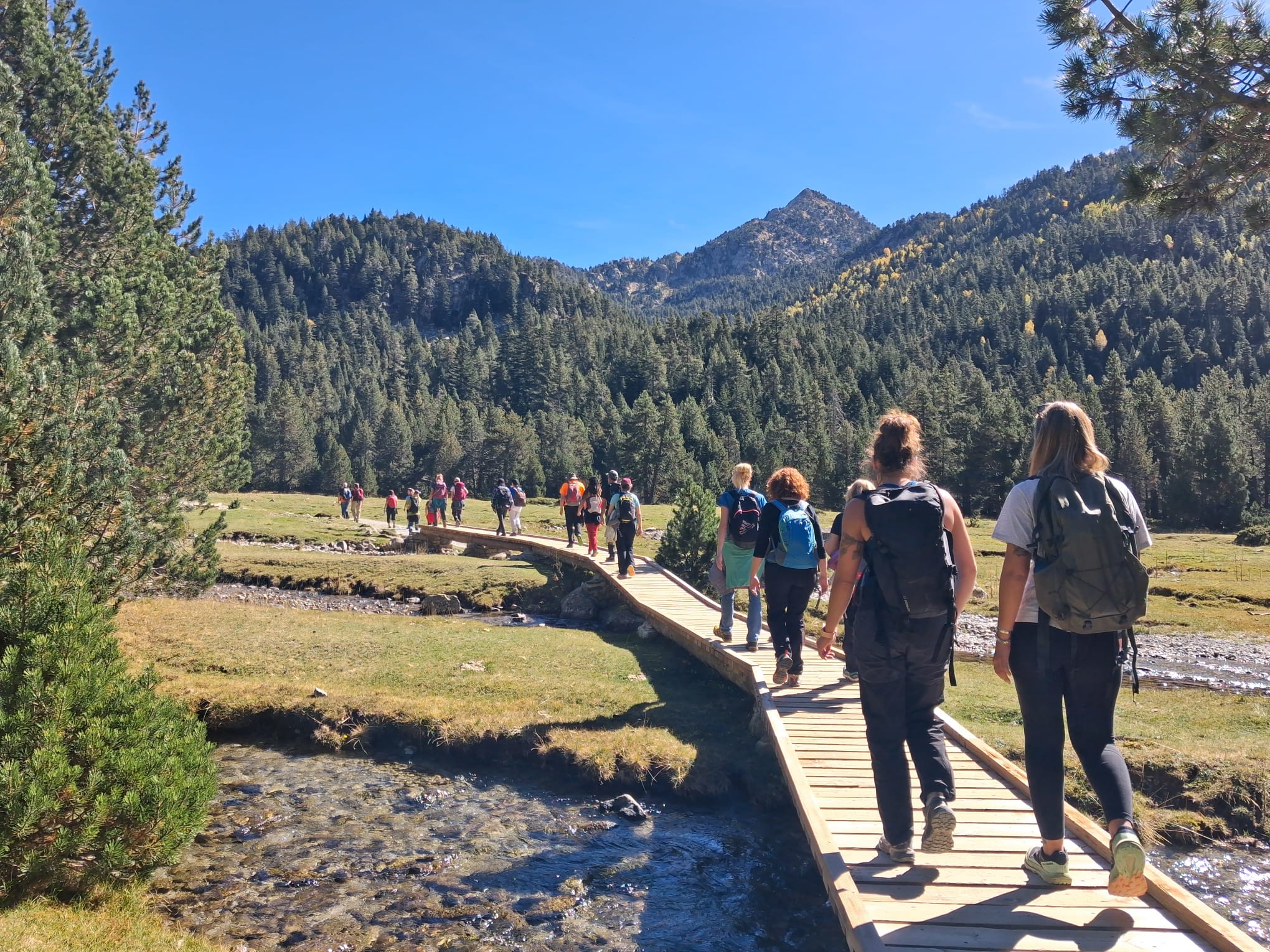 77b4f599-f7c0-48fa-8cd8-edaac268c6a7