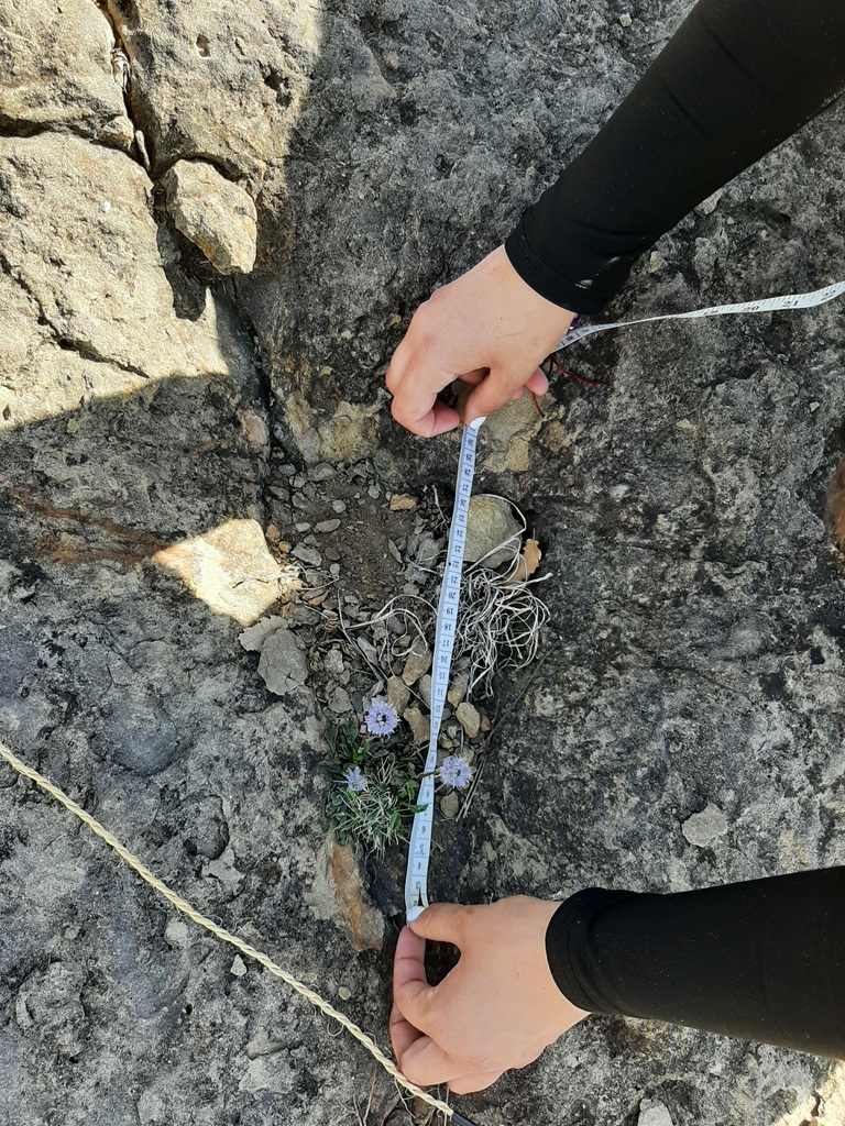 Recollida de dades