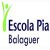 Group logo of Escola Pia Balaguer