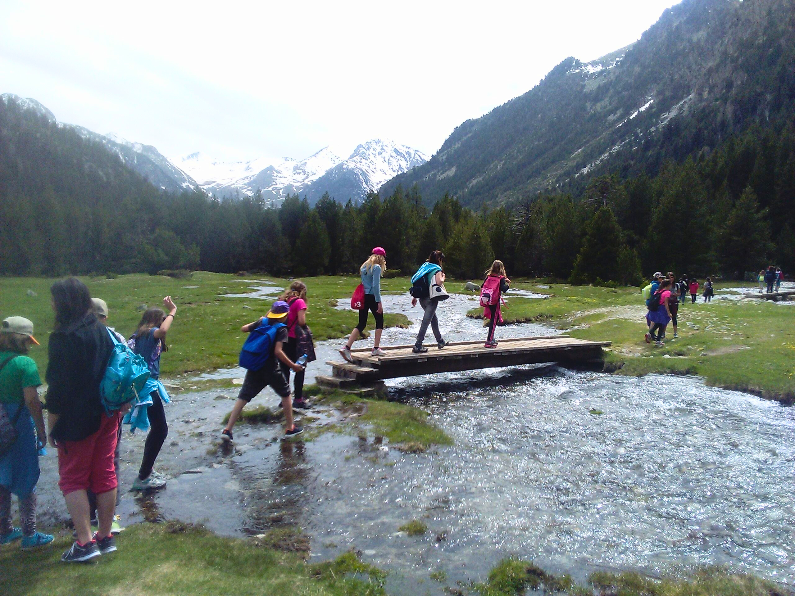 1d94d553-d1dd-48df-9a9a-56957c017dc1