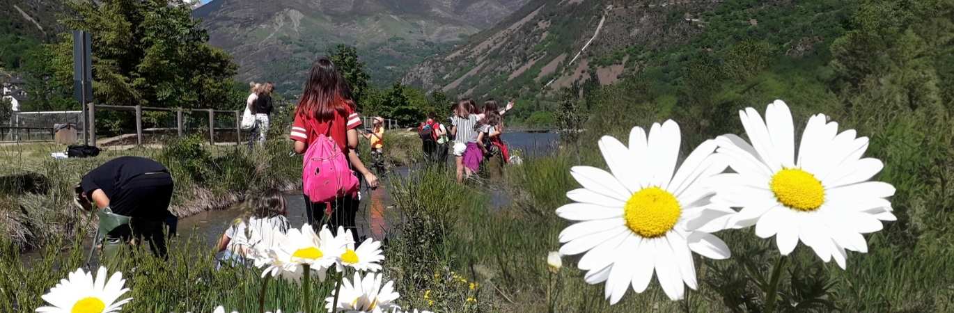 Disseny-sense-titol-10