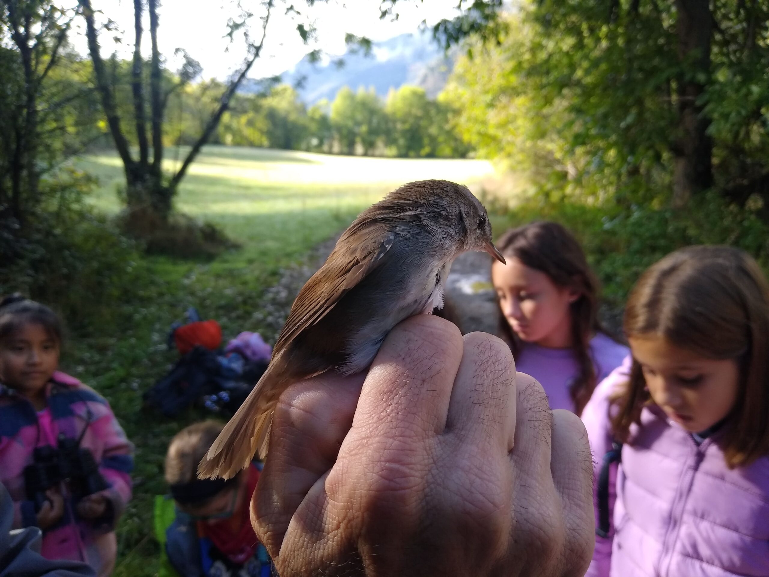 IMG_20241008_112011944